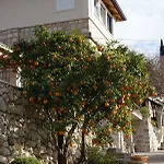 Apartmán Three Oranges