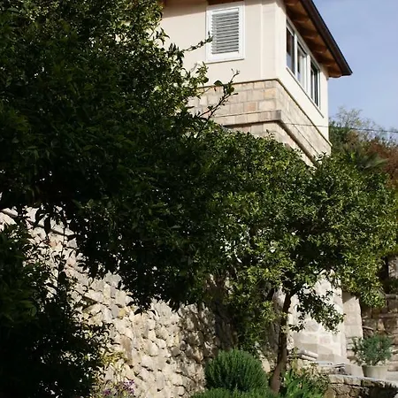 Three Oranges * Trsteno