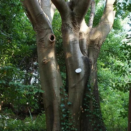 Lägenhet Three Oranges