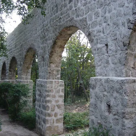 Three Oranges * Trsteno