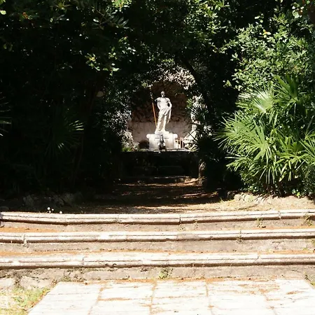 Three Oranges * Trsteno