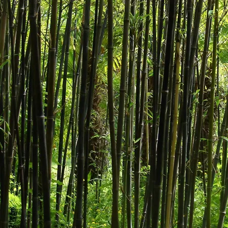 Lägenhet Three Oranges *