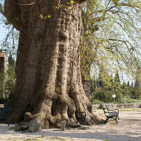 Lägenhet Three Oranges