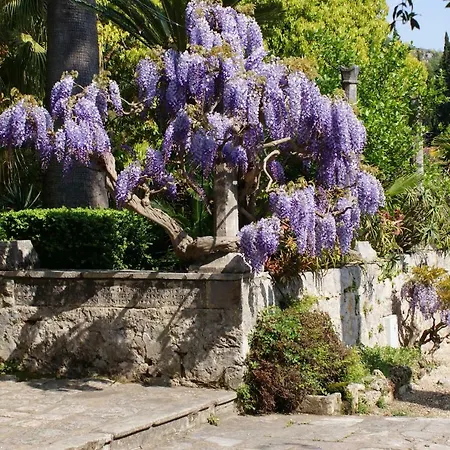 Three Oranges Appartement Trsteno