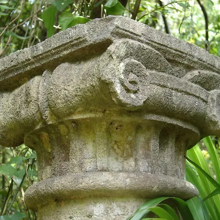 Three Oranges Trsteno