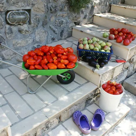 Appartement Three Oranges Trsteno