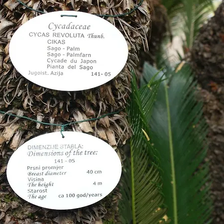 Three Oranges Appartamento