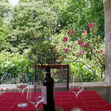 Three Oranges Trsteno