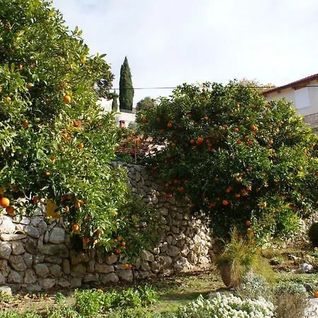 Three Oranges *