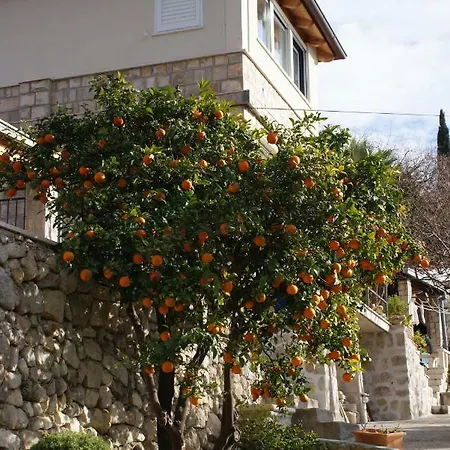 Апартаменты Three Oranges