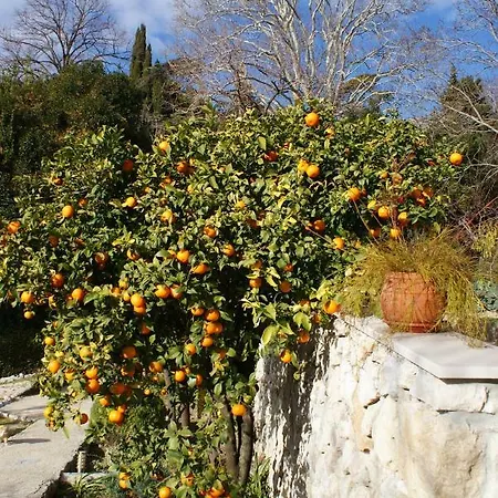 Three Oranges Apartman *